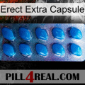 Erect Extra Capsule viagra1